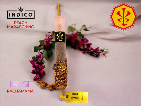 Xiaolin Presents - The Mother of all Drops