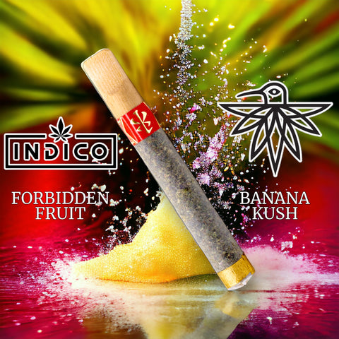 Rice Capo VSXL - Forbidden Fruit // Banana Kush