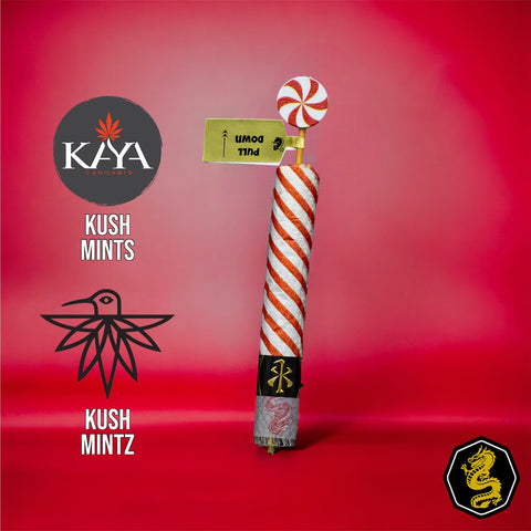 Peppermint Cane Soldato - Kush Mints // Kush Mintz