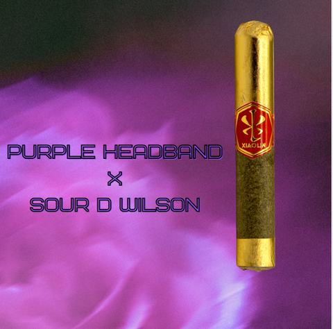 Natural Godfather V.S.X.L. - Purple Headband // Sour D Wilson