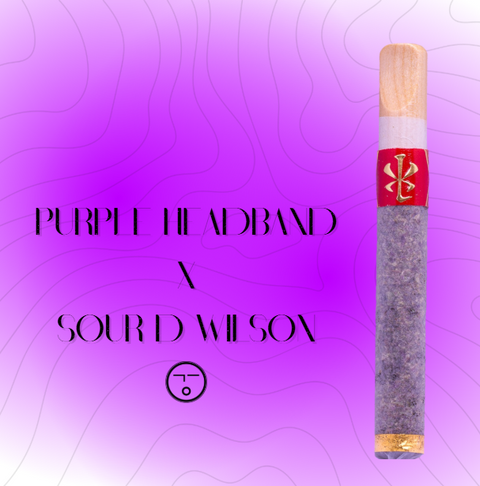 Natural Goomah V.S.X.L. - Purple Headband // Sour D Wilson
