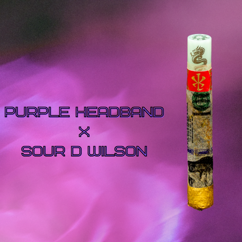 Benny Capo VSXL - Purple Headband // Sour D Wilson