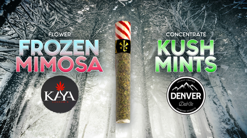 Xiaolin Drops - January 21st 2023