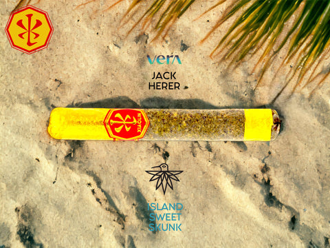 Rice Godfather V.S.X.L. - Jack Herer // Island Sweet Skunk