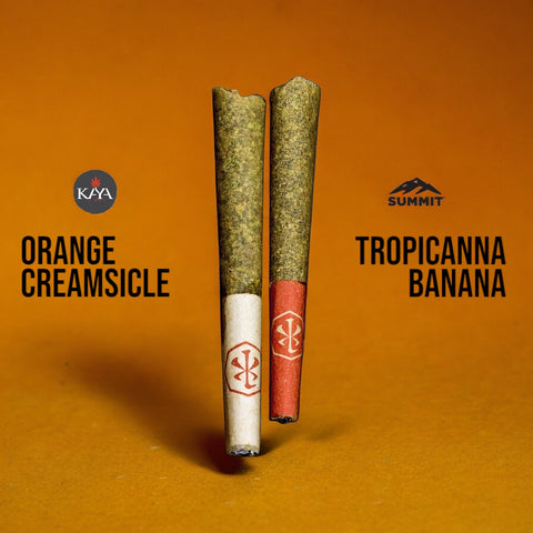 kaya tobacco SHOP (@kaya.tobacco) Istanbul and a swivel function to ensure you always have the best view KAYA FARMS - BEAR WOODS