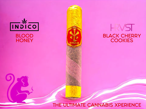 Pink Godfather VSXL - Blood Honey // Black Cherry Cookies